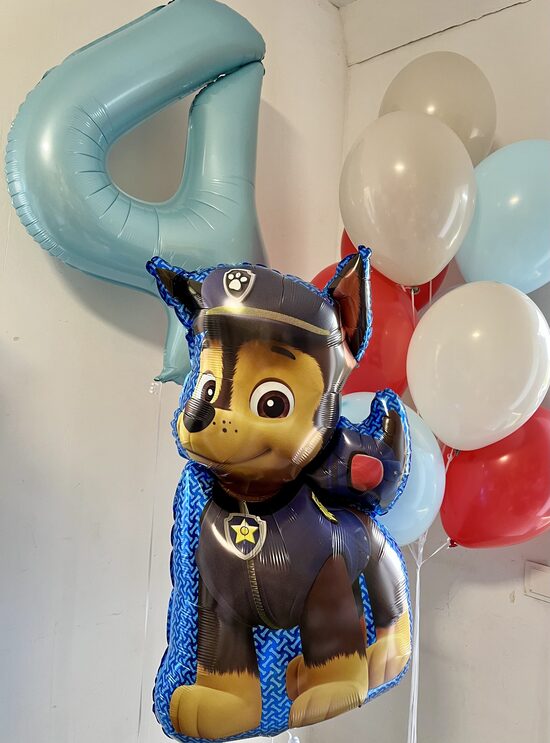 Balionų kompozicija "Paw Patrol"